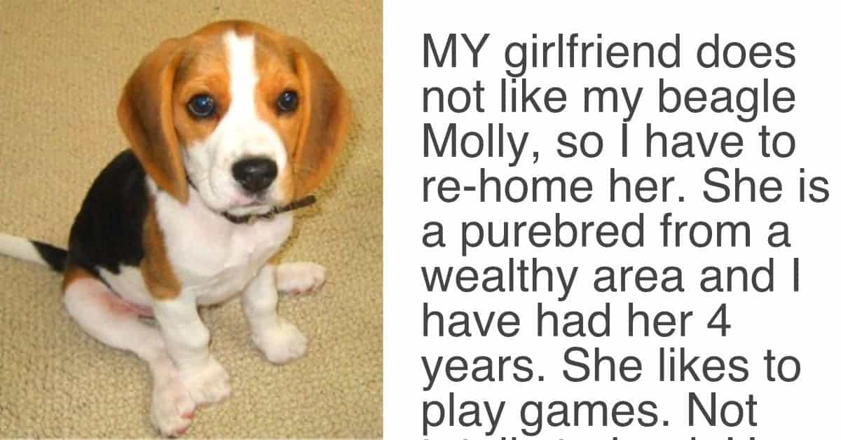 How can i find good wife